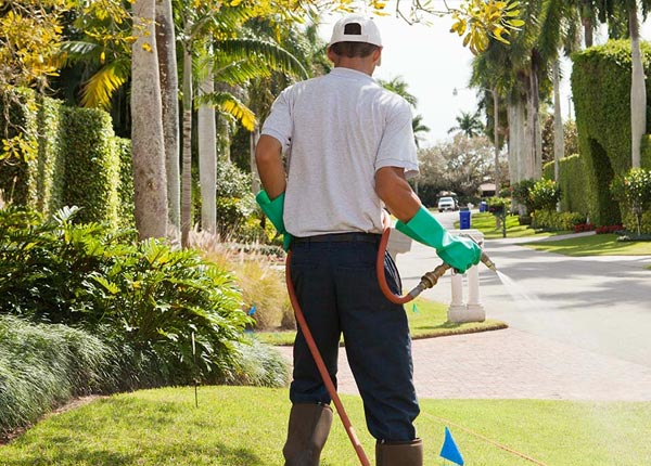 About Tulelake CA Pest Control